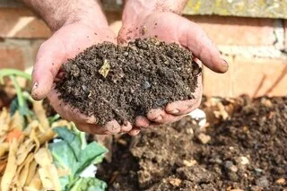 C’EST LA FÊTE DU SOL VIVANT : COMMENT VALORISER LES DÉCHETS VERTS DU JARDIN ?