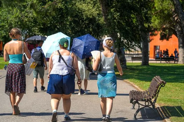POURQUOI L’OZEMPIC NE FAIT PAS PERDRE DU POIDS À TOUT LE MONDE