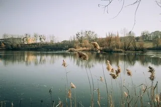 SÉCHERESSE : UN PROPRIÉTAIRE SOUPÇONNÉ D’AVOIR REMPLI SES ÉTANGS AFIN DE CHASSER DES CANARDS DANS LE LOIR-ET-CHER