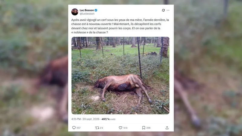 « ILS DÉCAPITENT LES CERFS ET LAISSENT POURRIR LES CORPS »: LUC BESSON DÉNONCE UNE NOUVELLE SCÈNE DE CHASSE DEVANT CHEZ LUI