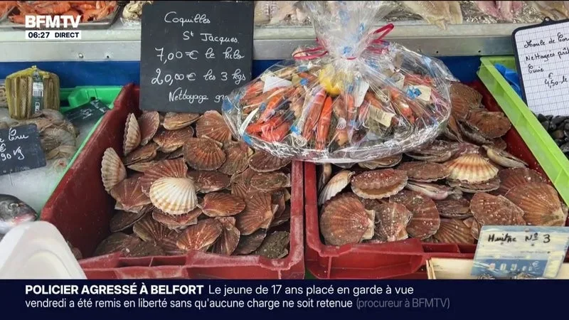 HAUSSE DES PRIX DU CARBURANT, QUOTAS DE PÊCHE: LES PRIX DES SAINT-JACQUES AUGMENTENT