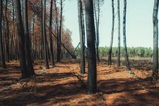 INFO OUEST-FRANCE. INCENDIES EN FRANCE : 546 PERSONNES, DONT 213 MINEURS, INTERPELLÉES APRÈS LES FEUX DE CET ÉTÉ