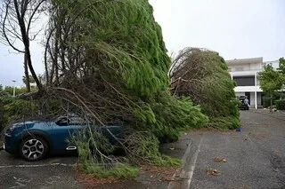 CHUTES D’ARBRES, INONDATIONS… DES DÉGÂTS DANS LE SUD-EST DE LA FRANCE APRÈS LE PASSAGE D’UN ÉPISODE MÉDITERRANÉEN