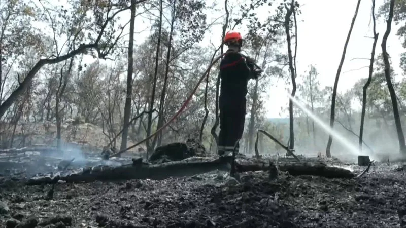 UN INCENDIE EN COURS AU SUD DE PERPIGNAN, 35 HECTARES BRÛLÉS ET PRÈS DE 200 POMPIERS MOBILISÉS