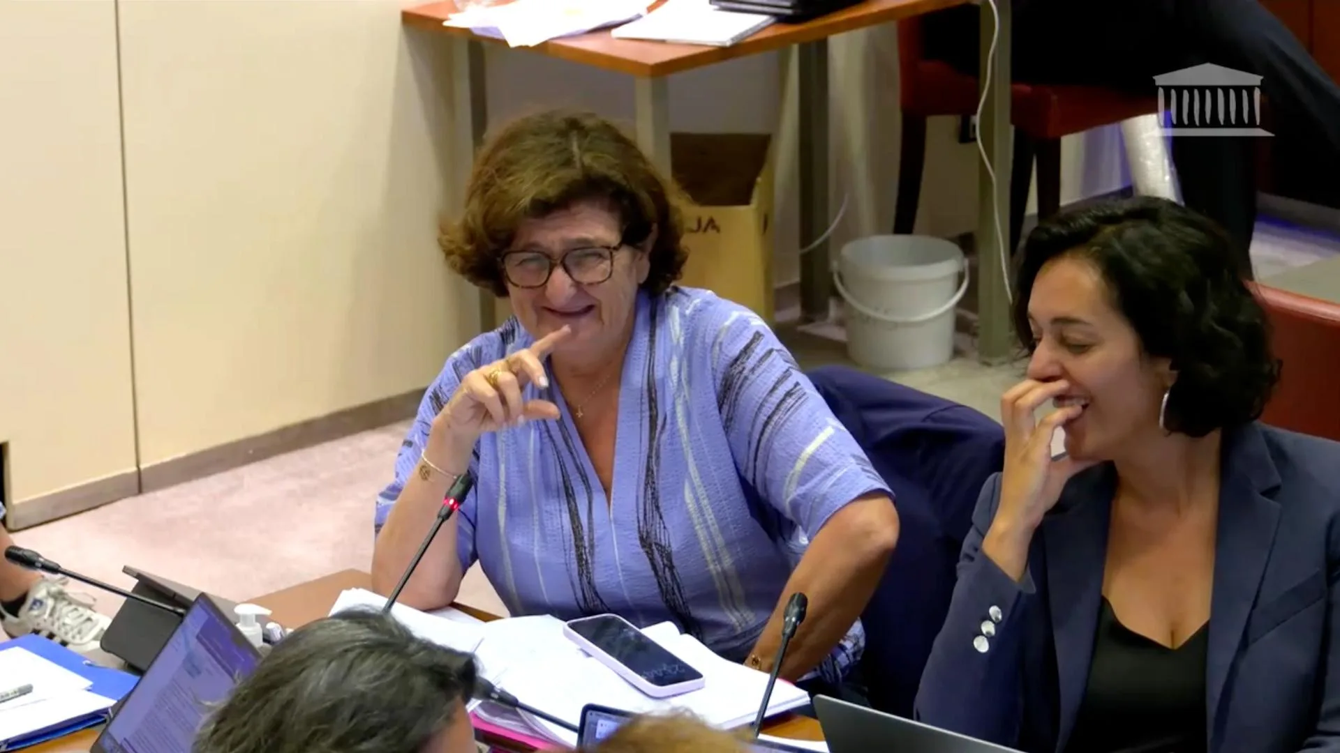 EN COMMISSION SUR LA LOI INTÉGRALE, LA BOUTADE DE CETTE DÉPUTÉE A OFFERT UNE RESPIRATION BIENVENUE