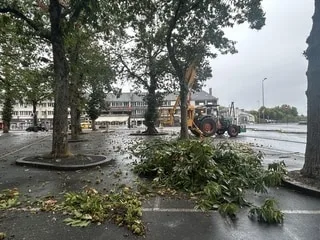 LIGNES ÉLECTRIQUES : DANS QUELS CAS ENEDIS DÉDOMMAGE-T-IL LES PROPRIÉTAIRES QUAND L’ABATTAGE DES ARBRES S’IMPOSE ?
