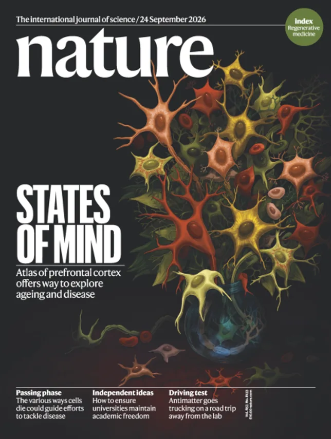 LA ZONE DU CERVEAU ASSOCIÉE AUX ÉMOTIONS CARTOGRAPHIÉE À L’ÉCHELLE DE LA CELLULE