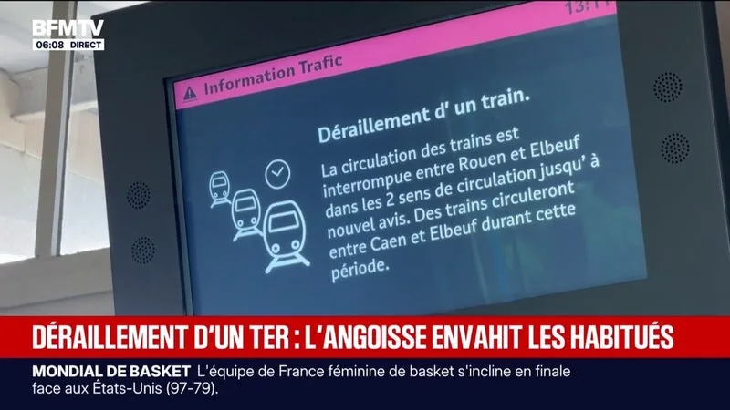 « JE ME SUIS DEMANDÉ SI JE LE PRENAIS »: CERTAINS VOYAGEURS DE LA LIGNE DU TER QUI A DÉRAILLÉ SONT INQUIETS