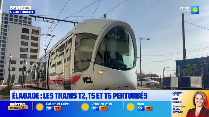 LES LIGNES DES TRAMS T2, T5 ET T6 PERTURBÉS À LYON EN RAISON D’OPÉRATIONS D’ÉLAGAGE