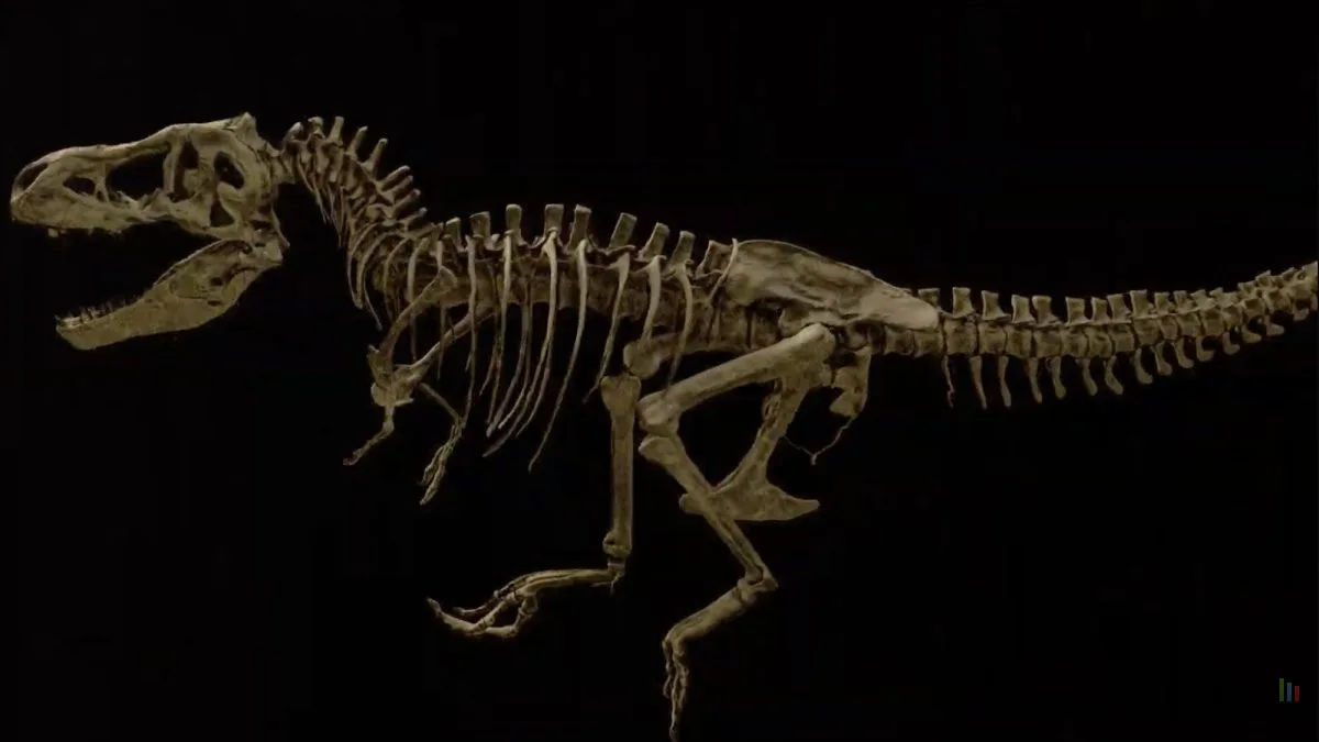 SCOTTY, LE PLUS GRAND T-REX DÉCOUVERT, RÉVÈLE LES SECRETS DE SA MORT GRÂCE À UNE TECHNOLOGIE NUCLÉAIRE