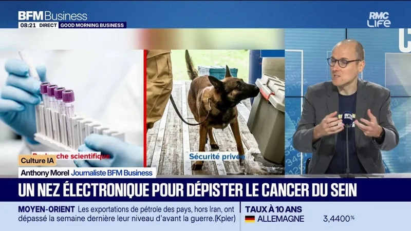 LA FRANCE INNOVE DANS LA RECHERCHE SUR LE CANCER DU SEIN
