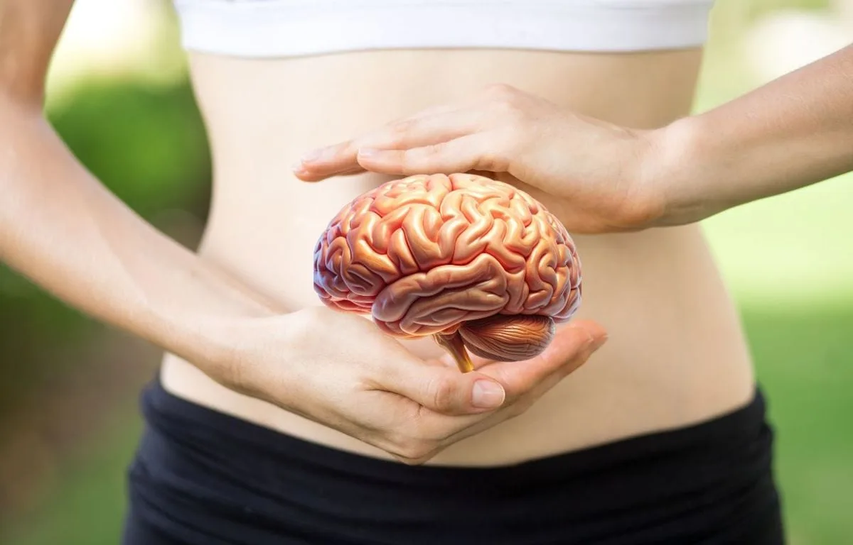 ALZHEIMER, PARKINSON, DÉPRESSION… LE MICROBIOTE JOUE-T-IL UN RÔLE SUR LES MALADIES DU CERVEAU ?