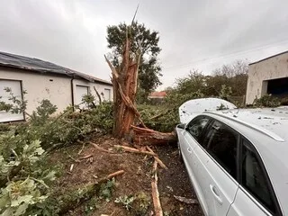 TÉMOIGNAGE. « COMME SI UNE BOMBE VENAIT D’EXPLOSER » : LA FOUDRE S’ABAT AU PIED DE LEURS MAISONS, UN CHÊNE IMPLOSE