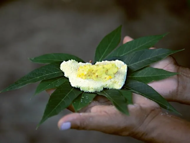UN ATLAS ALIMENTAIRE POUR PRÉSERVER LES RECETTES ET LES TRADITIONS DE L’AMAZONIE