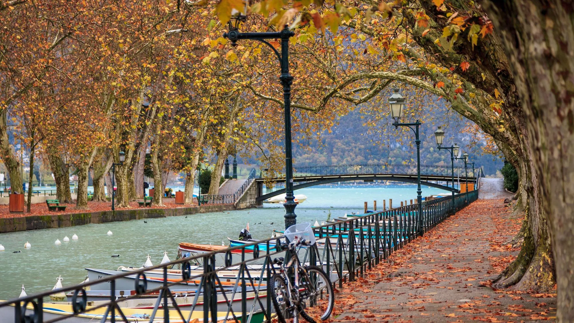 MÉTÉO : LE VRAI AUTOMNE ARRIVE ENFIN, ATTENDEZ-VOUS À UNE BAISSE DES TEMPÉRATURES CES PROCHAINS JOURS