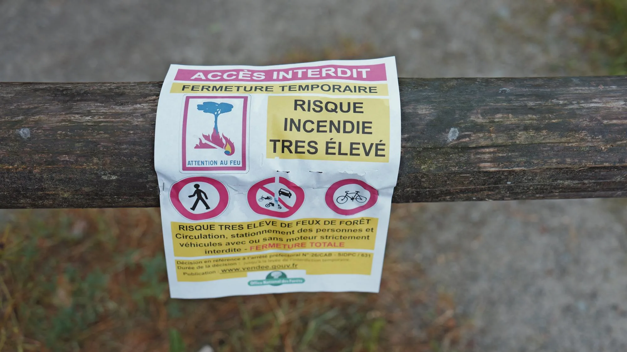 DEUX JOURS AVANT L’AUTOMNE, CES DÉPARTEMENTS SONT EN VIGILANCE ROUGE POUR RISQUE DE FEUX DE FORÊT