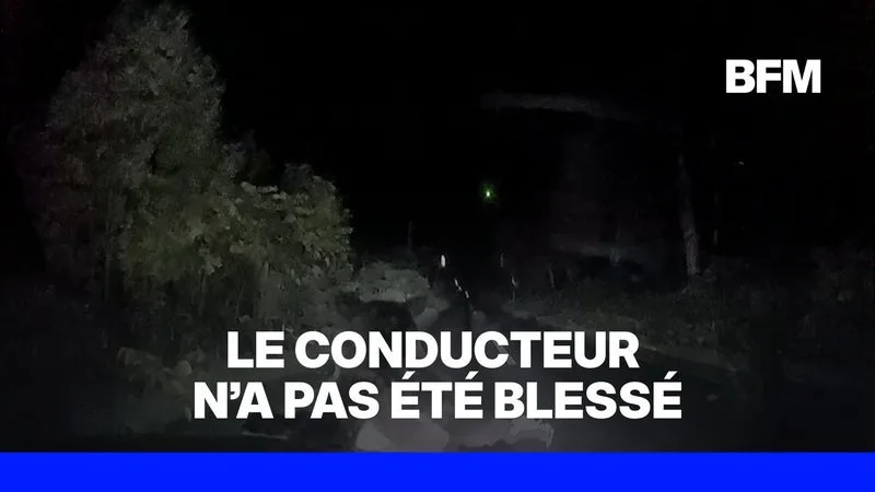 JAPON: UN CONDUCTEUR ATTAQUÉ PAR DEUX OURS BRUNS