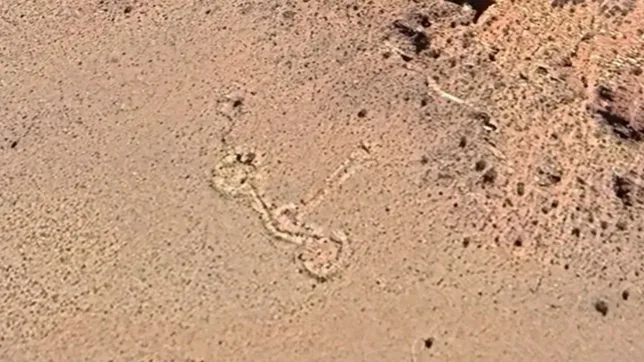 UN GÉOGLYPHE DÉCOUVERT AVEC GOOGLE EARTH FASCINE LES ARCHÉOLOGUES ARGENTINS