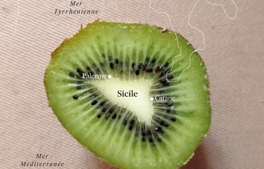 EN IMAGES – LA SICILE DANS UN KIWI, LA FINLANDE DANS UN GYOZA… CE FOU DE GÉOGRAPHIE VOIT DES CARTES PARTOUT