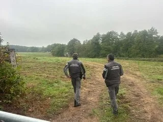 COUCOO CABANES : LE PROJET DE CABANES TOURISTIQUES SUR UN SITE NATURA 2000 TOUJOURS CONTESTÉ MALGRÉ LE DÉBUT DES TRAVAUX